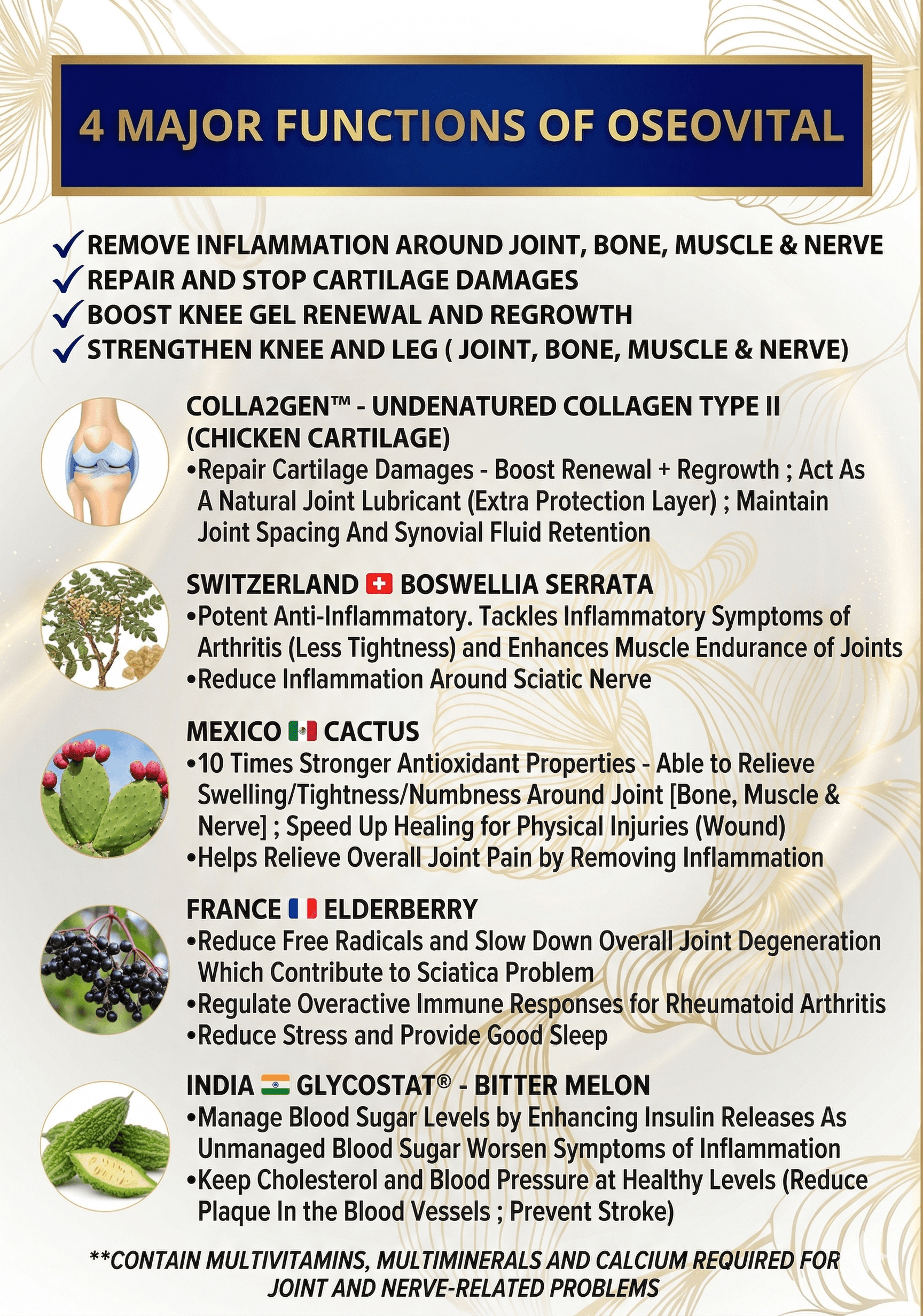 OseoVital 4 Major Functions