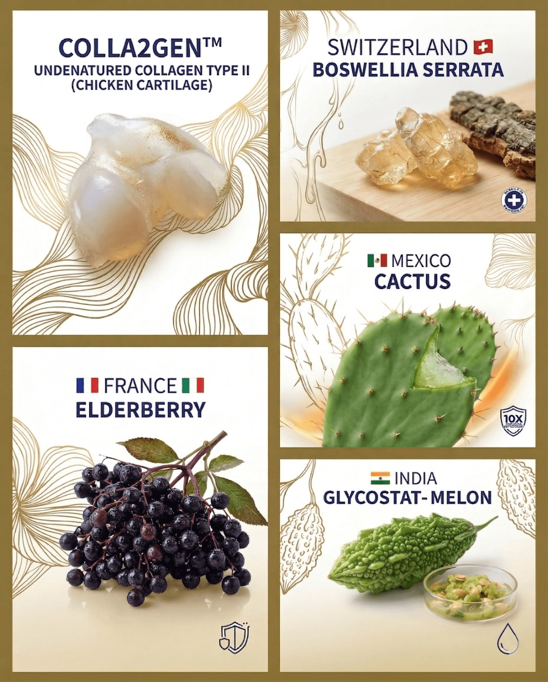 OseoVital Key Ingredients